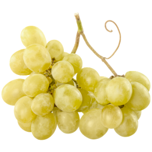 Uva Branca